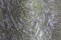 Rexon Cross fibreglass roof work